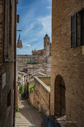 urbino